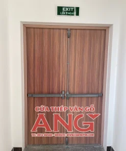 Cửa thép chống cháy vân gỗ